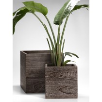 Kiri Wood Cube Planters - Decorative Planters | Serene Spaces Living