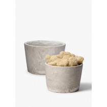 Low Round Cement Pots - Decorative Pots | Serene Spaces Living