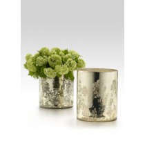 Antique Light Gold Vases - Decorative Vases | Serene Spaces Living