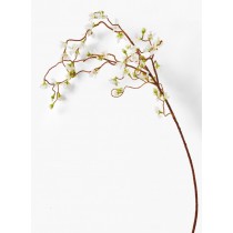 Weeping Cherry Blossom Branch