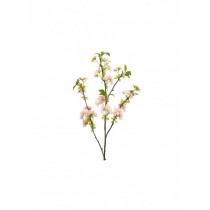 Oversized Cream Sakura Branch