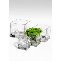 Cube Glass Vases - Decorative Trays | Serene Spaces Living