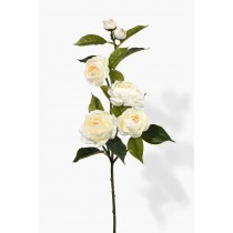 Serene Spaces Living Cream Camellia Spray , Measures 30" Tall and 3" Diameter, Sold Individually and Pack of 12