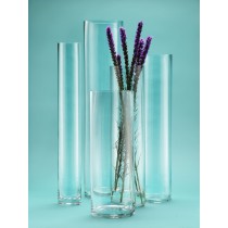 Narrow High Glass Cylinders - Decorative Vases | Serene Spaces Living