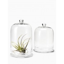 Classic Glass Cloche & Base - Decorative Vases | Serene Spaces Living