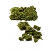 Preserved Moss - Decorative Vases | Serene Spaces Living