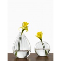 Optical Line Glass Bud Vases - Decorative Vases | Serene Spaces Living