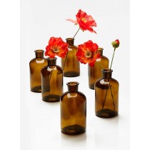 Serene Spaces Living Dark Amber Medicine Bottle Bud Vases, Set of 6, Antique Glass Bottles, 2 Sizes Available
