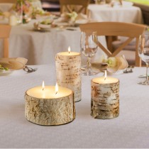 Serene Spaces Living Birch Bark Candle – Pillar Style Candle Brings Nature Indoors, 3 Sizes Available