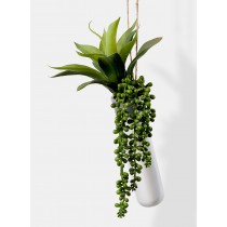 Serene Spaces Living Hanging Ceramic Planter with Mixed Succulents, Ideal for Store Window, Wedding Reception, Home
