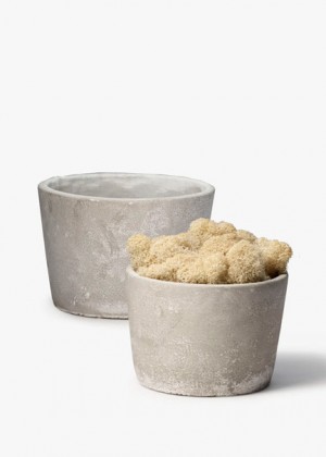 Low Round Cement Pots - Decorative Pots | Serene Spaces Living