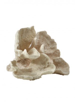 Artificial Coral