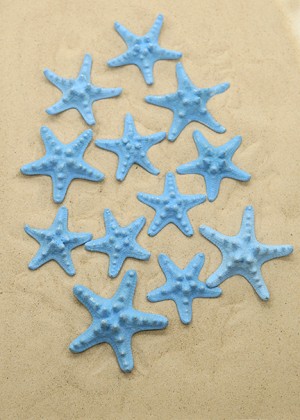 Blue Shellfish, Set of 12 - Seaside Home Decor | Serene Spaces Living