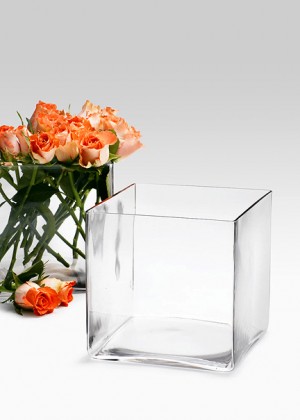 Classic Glass Cube Vase - Decorative Vases | Serene Spaces Living