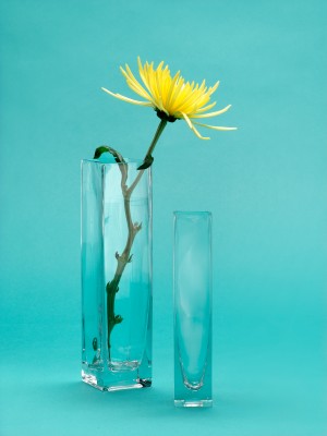 Square Glass Vases, Set Of 4  - Decorative Vases | Serene Spaces Living