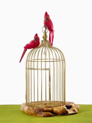 Antique Gold Metal Wire Birdcage - Decorative Birdcage | Serene Spaces Living