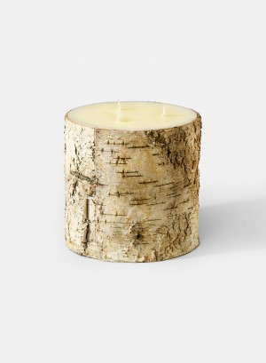 Serene Spaces Living Birch Bark Pillar Candle– Brings Nature Indoors, In 3 Sizes