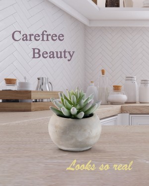 Serene Spaces Living Set of 2 Flocked Finger Succulent In Cement Pot, 4" D x 4" H