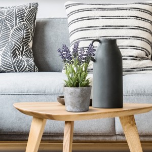 Serene Spaces Living Lavender in Cement Pot, Measures 4" Diameter x 10" Tall