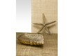 Antique Gold Starfish & Whelk Tray - Seaside Home Decor | Serene Spaces Living