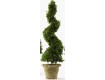 Faux Boxwood Topiaries