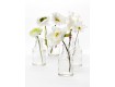 Glass Bottle Bud Vases, Set of 6 - Decorative Bud Vases | Serene Spaces Living