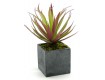 Faux Succulent Sets - Decorative Artificial Plants | Serene Spaces Living