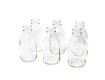 Glass Bottle Bud Vases, Set of 6 - Decorative Bud Vases | Serene Spaces Living