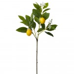 Serene Spaces Living Baby Lemon Tree Pick, Ideal for Wedding or Event Centerpiece Arrangement, Measures 23" Tall, Pack of 12