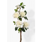 Serene Spaces Living Gardenia Spray, Measures 27" Tall and 4" Diameter, Sold Individually and Pack of 12