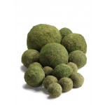 Preserved Moss Balls