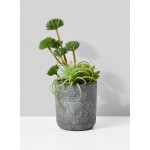 Artificial Mixed Succulents in Grey Round Cement Pot, Ideal for Desk, Counter or Hotel Lobby
