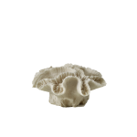 Artificial Coral Mushroom