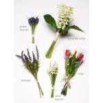 Lily of The Valley, Muscari, Lavender & Tulips