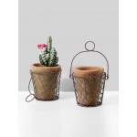 Serene Spaces Living Redstone Moss Pot with Wire Basket, 2 Sizes Available