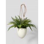 Serene Spaces Living Faux Boston Fern in Hanging Pot, Life Like Plant in 2 Sizes