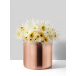 Serene Spaces Living Decorative Shiny Copper Cylinder Vase, Available in 2 Size