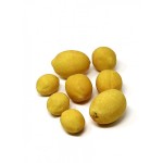 Serene Spaces Living Decorative Faux Meyer Lemons for Display, Set of 8 or 48